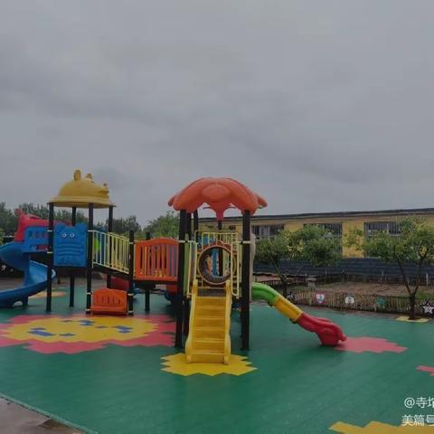 家园共育，静待花开——寺坨小学大班线上活动