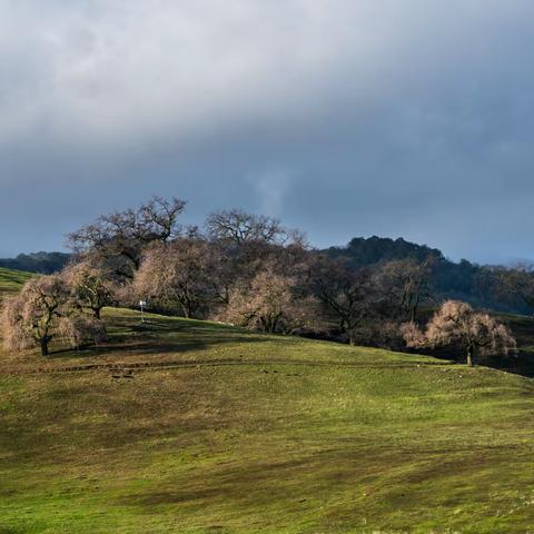 Calero 县立公园 (Calero County Park)