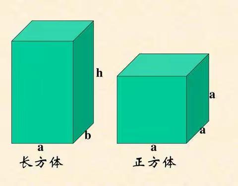 “巧手制立体，了解点面棱”———五年级数学实践活动