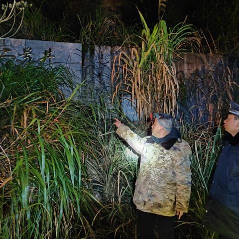 抓实抓细见落地，保障一方平安稳定