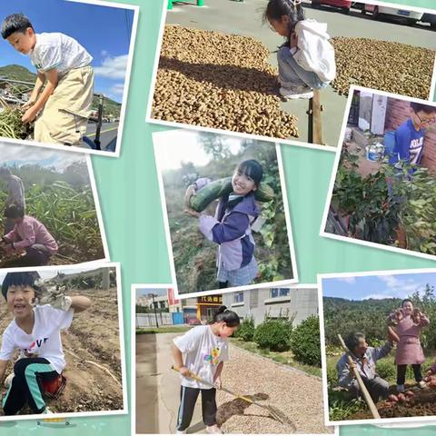 秋渐凉，情更浓 ——栖霞市实验小学四年级十班“丰收节”活动纪实