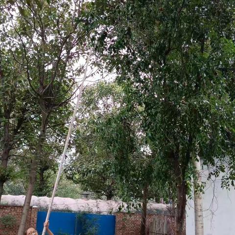 团圆中秋，劳动喜悦—栖霞市实验小学中秋节活动纪实