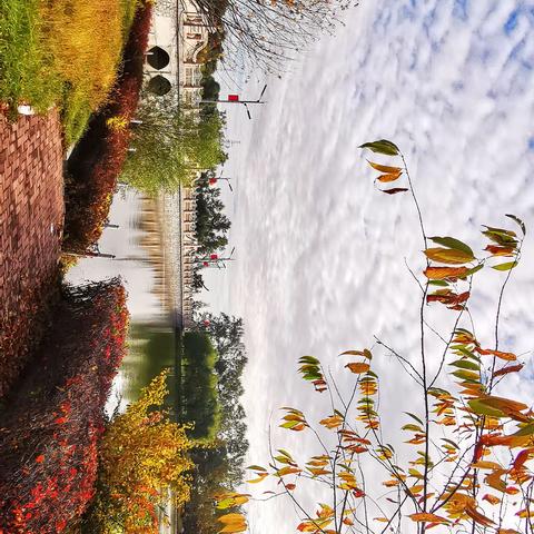 ——水面泛起涟漪，树上的黄叶翩翩起舞，秋天里水上公园的景色格外迷人。