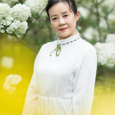光阴的故事的文章