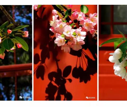 感恩中盈，感恩2022