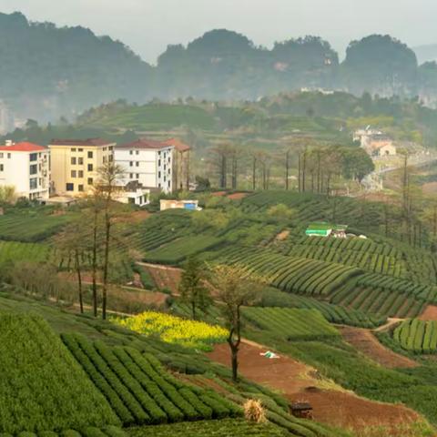 绿水青山绍兴游