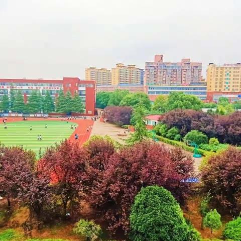 现代双语学校——七年级部期末总结