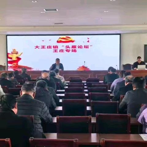 【头雁领航 群雁起飞】大王庄镇四合街村：党建引领绘就乡村振兴新画卷