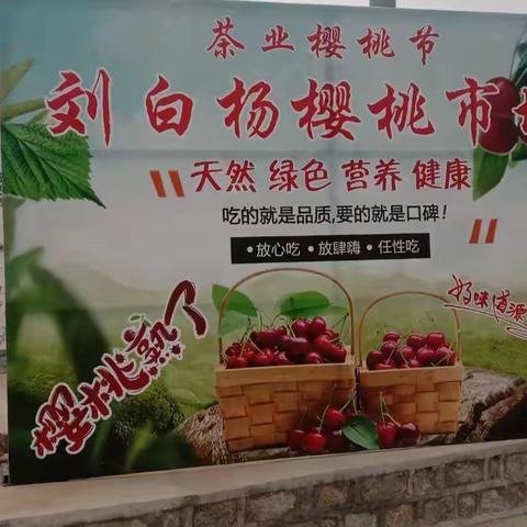 【茶业口镇刘白杨村】樱桃红了，市场建了，刘白杨村助力樱桃销售实现果农“致富梦”