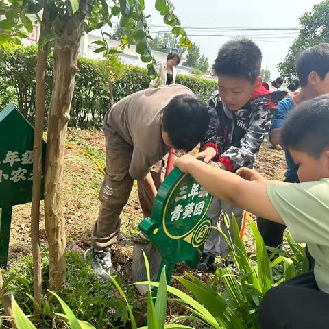 建设劳动基地  打造绿美校园 ——武功乡王五小学劳动实践活动