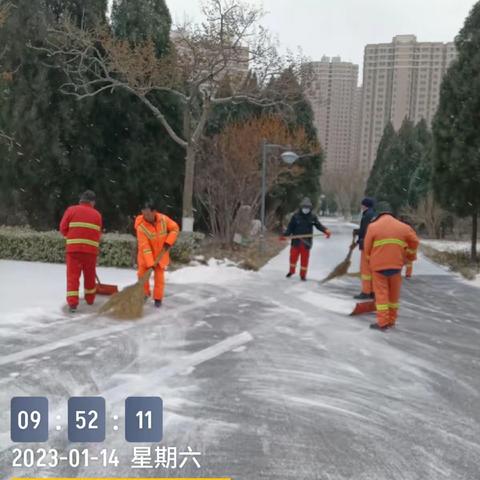 公园管理中心全力清雪除冰  为市民游园赏雪安全护航