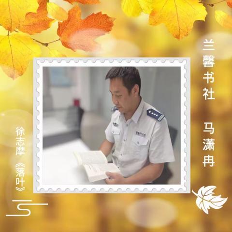 兰馨书社经典分享：《落叶》