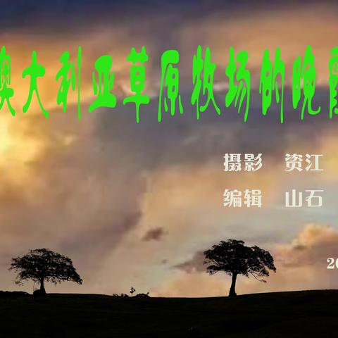 澳大利亚草原牧场的晚霞