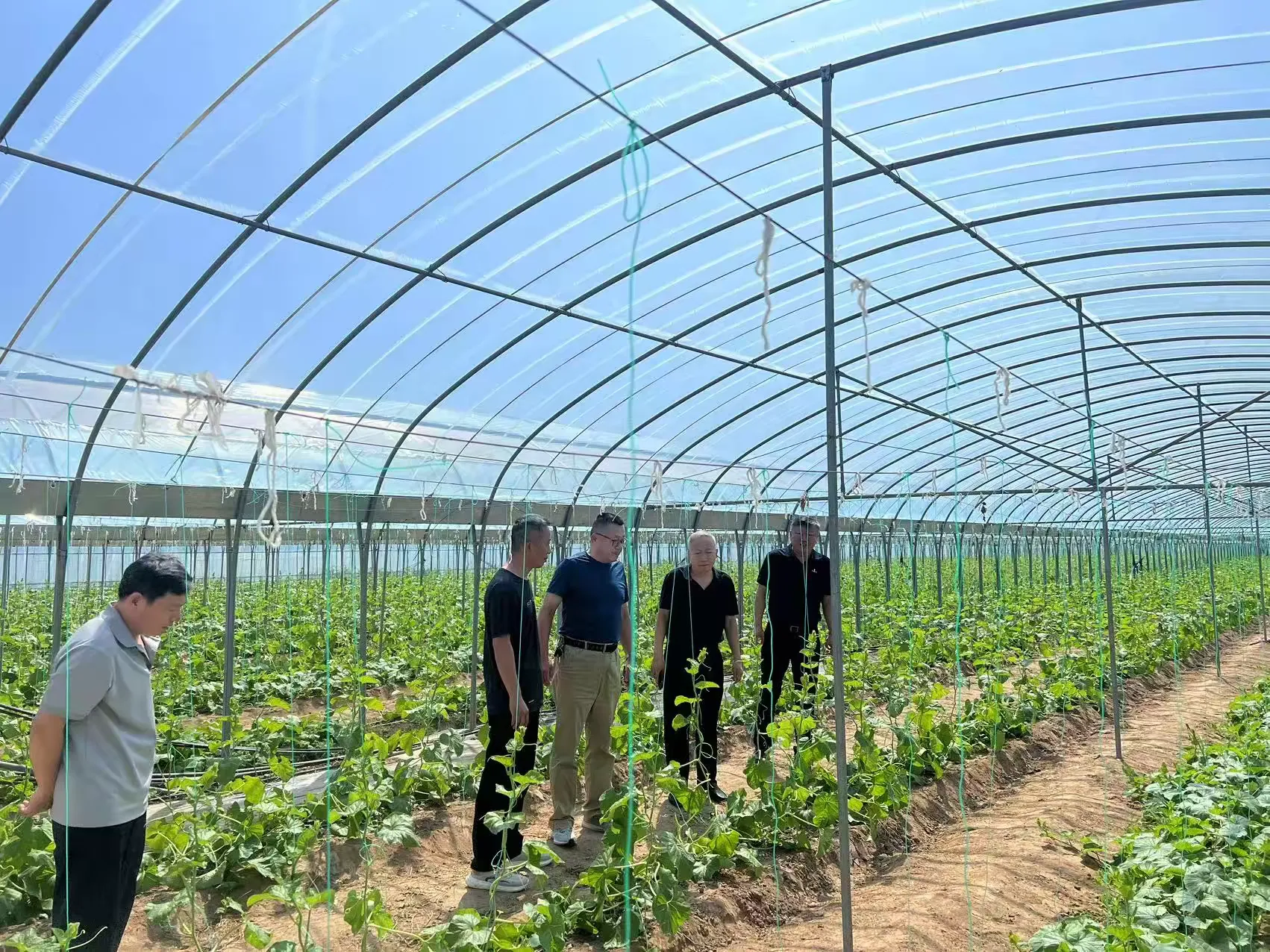 简篇-高官寨街道一周工作总结(9月1日-9月7日)