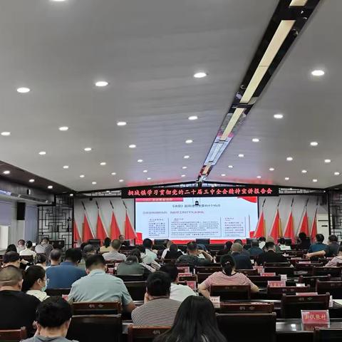 闻喜县桐城镇召开学习贯彻党的二十届三中全会精神宣讲报告会