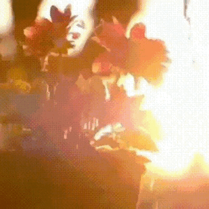 用户2873887的文章