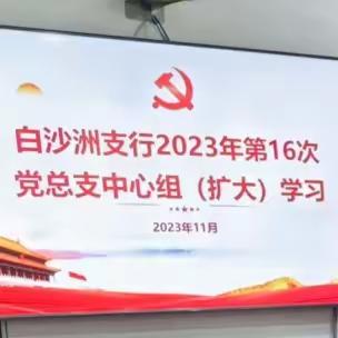 武汉白沙洲支行开展2023年第16次党总支中心组（扩大）学习