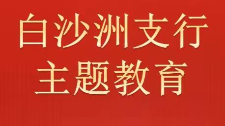 白沙洲支行党总支以“实干”求“实效”推进主题教育高质量落实