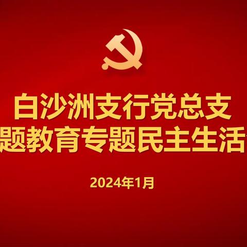 易志坚列席指导白沙洲支行党总支主题教育专题民主生活会