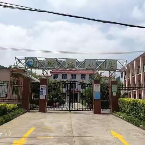 庙湾镇柳林小学2024年秋季义务教育招生公告