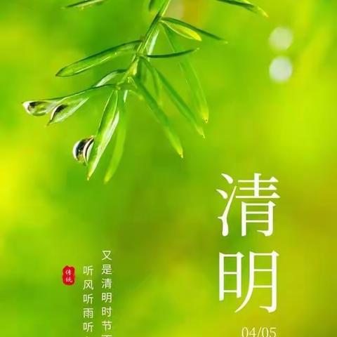【附中学子这样过清明】忻州师范学院附属中学初12班贾馥含2024年清明假期实践活动小记