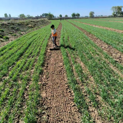 劳动节里的多彩生活