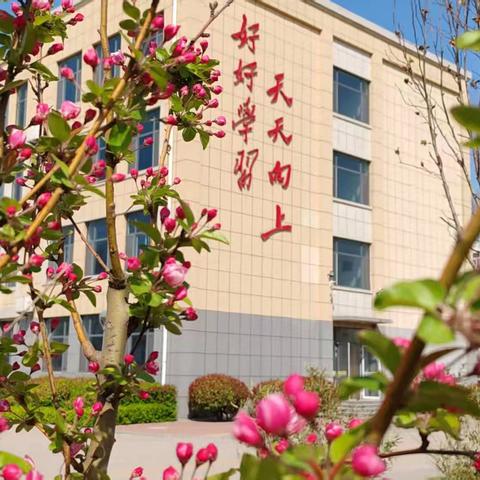 凝心聚力 智慧同行 | 寿光市初中道德与法治学科中考研讨会在双王城牛头初中召开