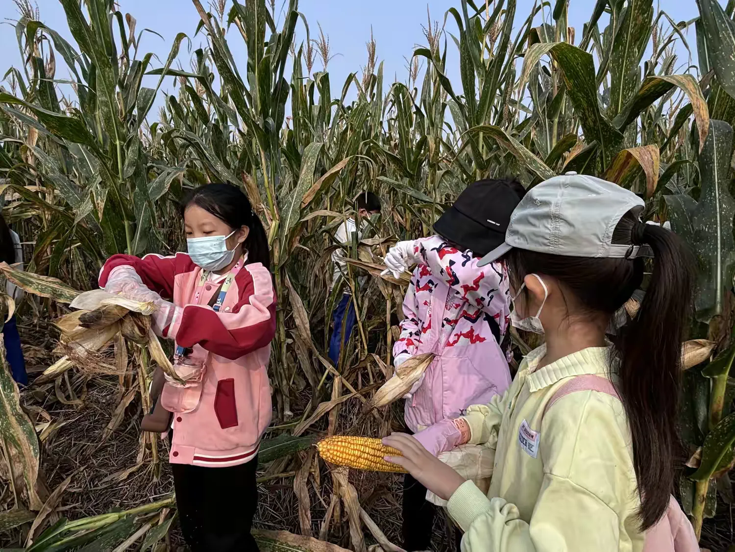 简篇-劳动光荣,快乐实践——实验小学劳动综合实践学科主题周