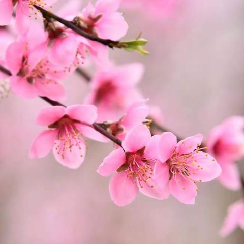 读古典名著，品百味人生