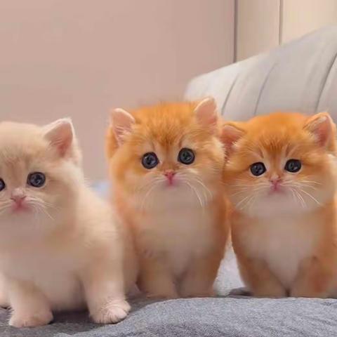 从“穿越”看英语高考“写作第一节”的交际性与开放性