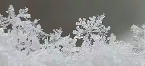 housing还是to house?—— 试卷也可以横向比对着讲评