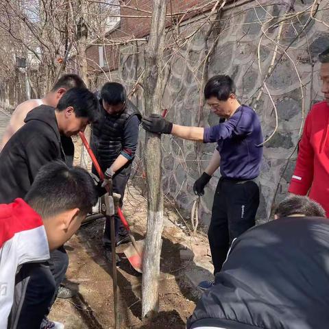 植树添绿，美化校园——辽源市志远高级中学开展主题党日植树活动