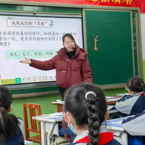 探索差异 拥抱多元 ——2024年秋小学道德与法治李同燕名师工作室“送培送教”活动