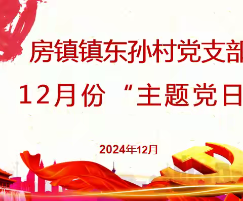 房镇镇东孙村党支部开展2024年12月份“排隐患守底线”主题党日