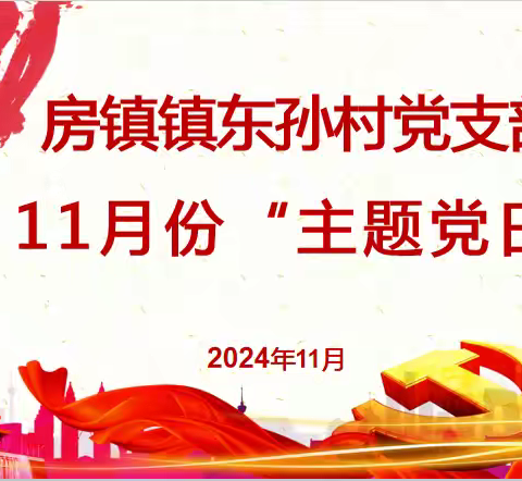 房镇镇东孙村党支部开展2024年11月份“党章党规学习”主题党日