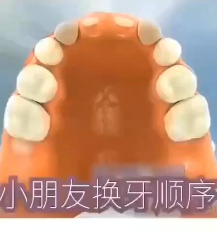 专业口腔护理，从齿开始