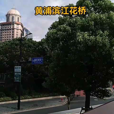 黄浦滨江花桥