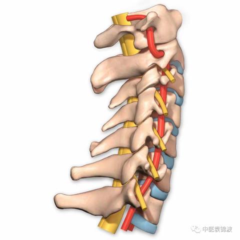 “脑供血不足”与颈椎的关系与治疗