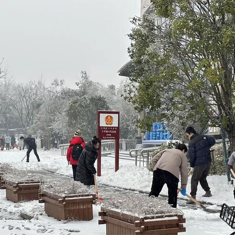 政企同心齐上阵  清冰铲雪保畅通