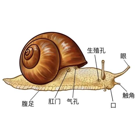 背着房子去旅行