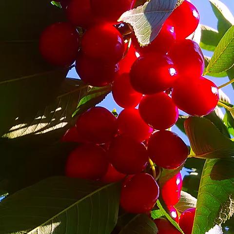 从“饿了么”到“阳了么”