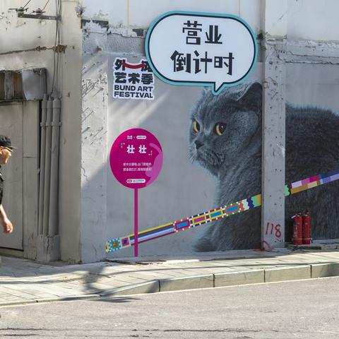 猫街轧闹猛