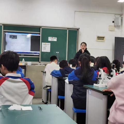 聚力教研促成长，砥砺同心共前行─记栗雨小学小学科学生命科学领域实验教学具的开发与实践研究主题教研活动