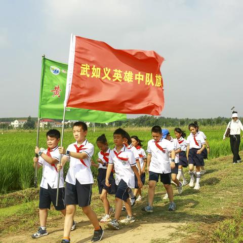 行走青禾田间，共享生态美宴