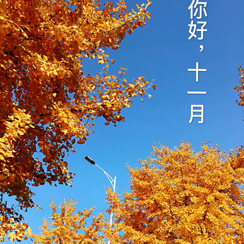 金融广场项目十一月份工作简报