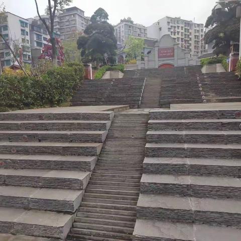 【红花岗区市政环卫处广场所】精细化广场管理 高品质工作要求