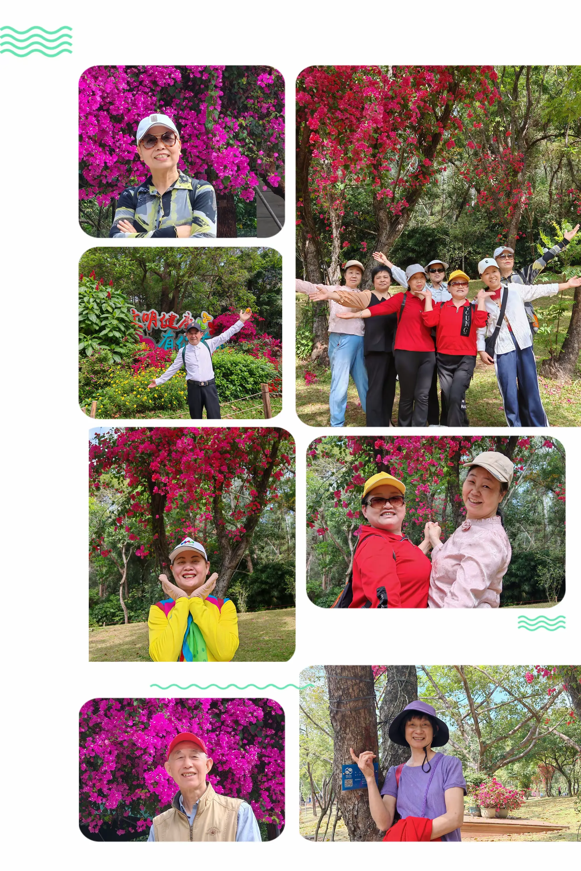 简篇-水径社区15 名“老顽童” 的莲花山奇遇:赏花、歌唱、话家常