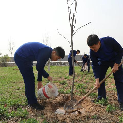 “‘植’此青绿 拥抱春天”---成安县聚良大道消防救援站开展植树活动