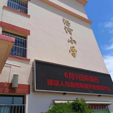 沿河小学六五环境日“建设人与自然和谐共生的现代化”教育宣传活动