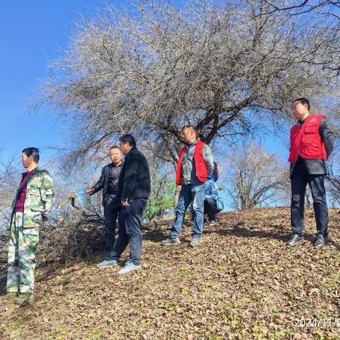 【关山林场】多措并举确保森林修复项目实施